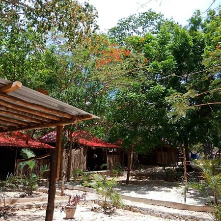 Ostello Soul Breeze Backpackers Diani Diani Beach Esterno foto