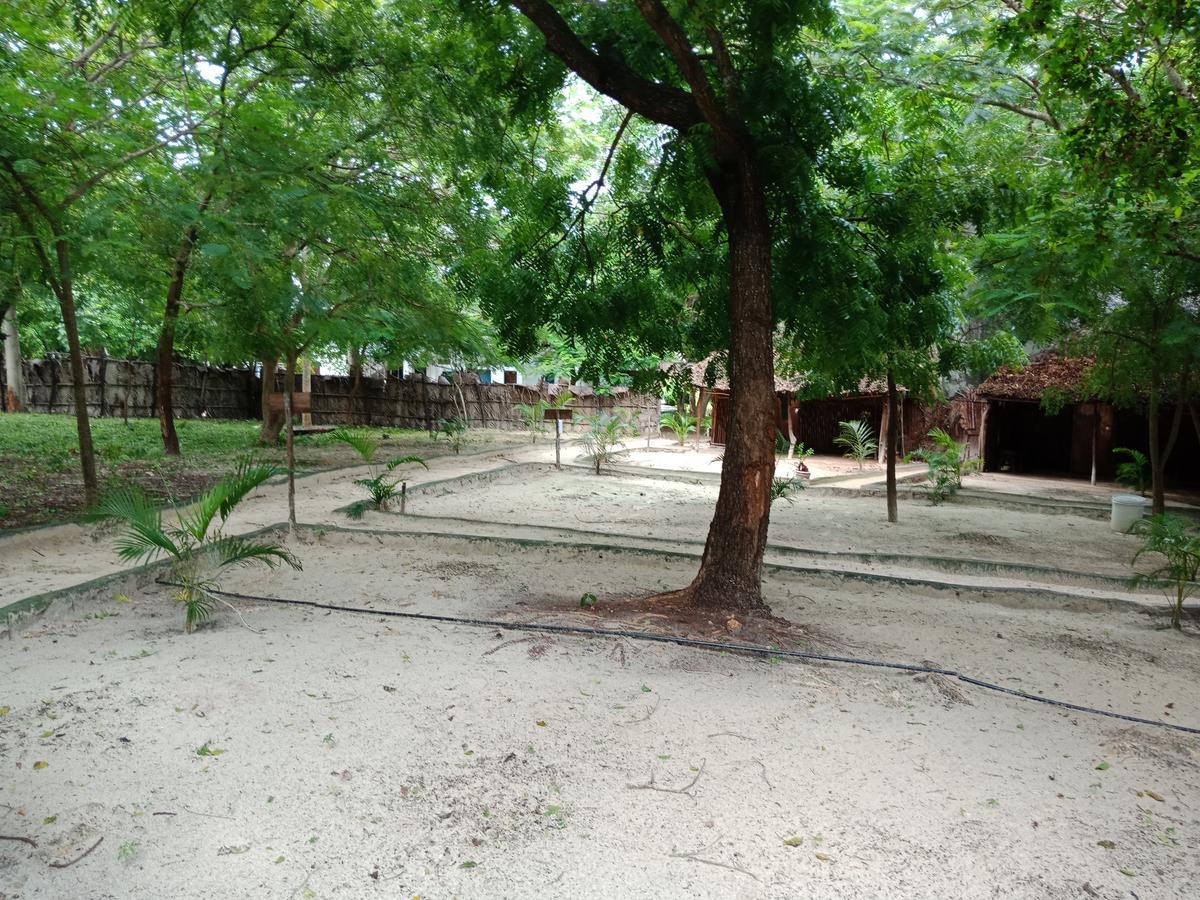Ostello Soul Breeze Backpackers Diani Diani Beach Esterno foto